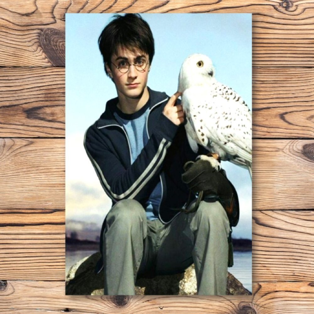 Harry‎ Potter Owl Hedwig Refrigerator Locker Fridge Magnet